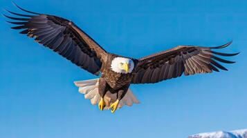 americano calvo águila altísimo en contra azul cielo. águila. generativo ai foto