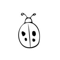 Doodle ladybug. hand drawn of a ladybug isolated on a white background. Vector illustration sticker, icon, design element