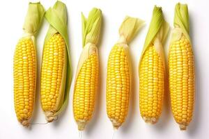 Fresh sweetcorn isolated on white background. Generative Ai photo