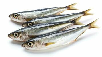 Sardines fish isolated on white background. Sardine fish. Generative Ai photo