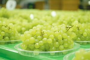 grapes arranged in plastic trays photo