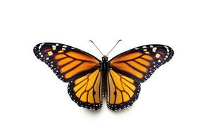 un hermosa monarca mariposa aislado en blanco antecedentes. mariposa. generativo ai foto
