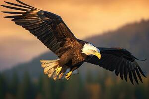 American bald Eagle flying in the clouds at Sunset. Eagle. Generative Ai photo