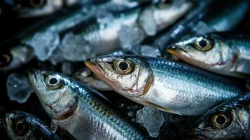 Sardines fish on ice in the market. Sardine fish. Generative Ai photo