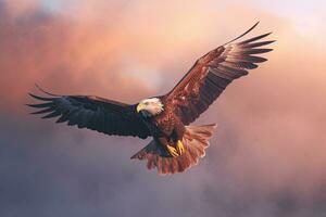 American bald Eagle flying in the clouds at Sunset. Eagle. Generative Ai photo