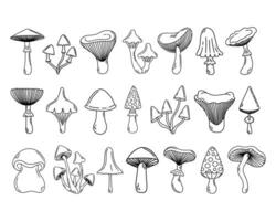 Simple vector doodle. Sketch drawing of forest mushroom. Easy to change color.