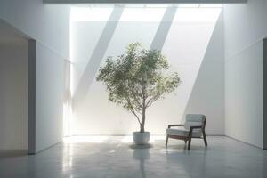 minimalist white room with a single chair and a potted tree photo