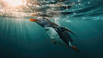 A penguin swimming marine life underwater ocean, Penguin on surface and dive dip water. Generative Ai photo