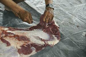 un retrato de musulmanes cortando carne en eid al adha usando un cuchillo de corte foto