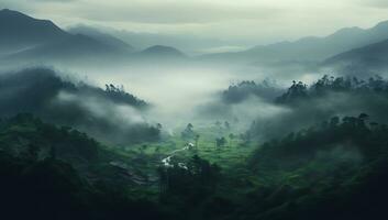 Foggy mountain landscape in the morning photo