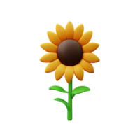 girasol 3d icono ilustración png