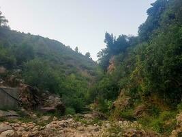 belleza de naturaleza Entre el Valle foto