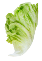 Knackkopf Grüner Salat Blatt Gemüse png