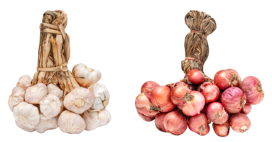 Bündel von Knoblauch und Schalotten png