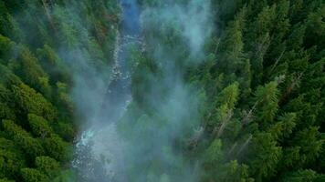 top naar beneden visie van mooi berg landschap. een rivier- stromen tussen hoog bomen video