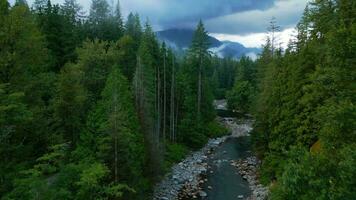 Aerial view of beautiful mountain landscape. A river flows among tall trees video