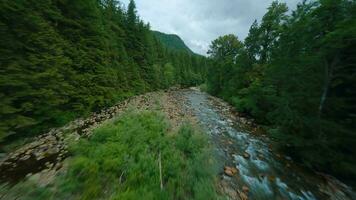 Flight over a mountain river. Shot on FPV drone. British Columbia, Canada. video