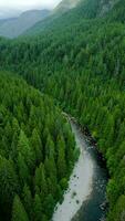 aéreo ver de canadiense montaña paisaje en nublado día. tomado cerca Vancouver video