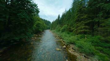 flyg över en berg flod. skott på fpv Drönare. brittiskt columbia, Kanada. video