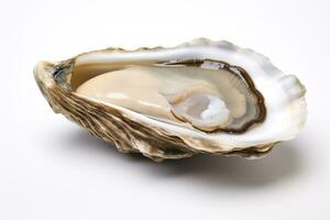 Shucked oyster, a delicacy enjoyed raw or cooked, isolated on a white background. AI Generative photo