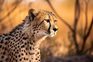 a hunting cheetah AI Generative photo