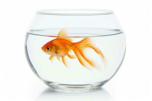 pez de colores nadando en un vaso pecera aislado en un blanco antecedentes ai generativo foto