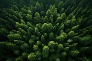 Aerial view of green coniferous forest. Nature background. Aerial view of forest, AI Generated photo