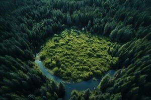 Aerial view of a small lake in the middle of a forest, Aerial view of forest, AI Generated photo