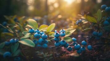 recolección de bayas aventura, luminoso arándanos en arbustos en un hermosa bosque. generativo ai foto