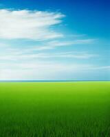 Green feild beside sea photo