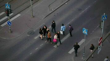 Menschen Kreuzung das Straße auf Zebra, Tallin video