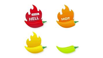 heet peper sterkte schaal indicator met mild, medium, heet en hel posities. chili niveau. beweging grafiek. video