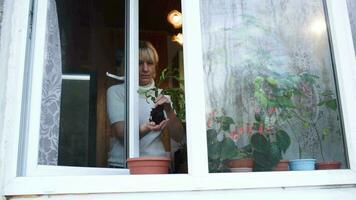 vrouw aanplant een kamerplant in klei pot Aan de vensterbank video