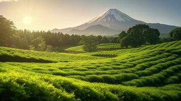 Mountain Fuji. Green tea plantation near Mount Fuji, Shizuoka Prefecture,Japan. Generetive Ai photo