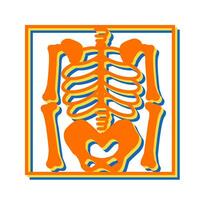 Skeleton Vector Icon