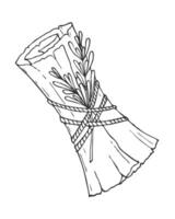 Scroll with  branch of rosemary tied with rope, witchcraft, conspiracies, spells, halloween attribute, hand drawn doodle, scroll with torn edge texture. vector