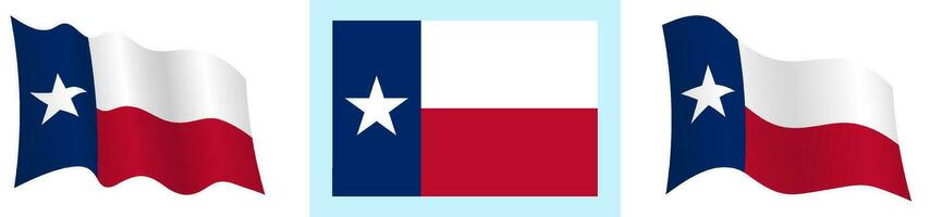 bandera de americano estado de Texas en estático posición y en movimiento, revoloteando en viento en exacto colores y tamaños, en blanco antecedentes vector