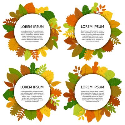 Set of four vector card with yellow leaves isolated on white background. Colorful autumn leaves under white round label.