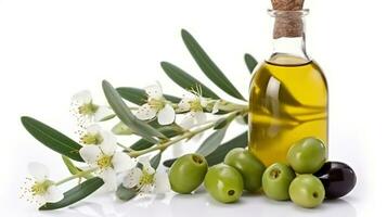 The Versatile Olive, A White Background with Olives, Olive Oil, and a Blossoming Olive Branch. Generative AI photo