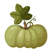 Green pumpkin with leaf and swirl isolated on white background, vector illustration in cartoon, flat style.