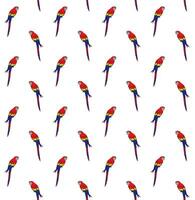 Vector seamless pattern of colored macaw parrot