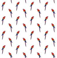 Vector seamless pattern of colored macaw parrot