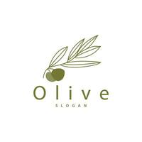 Olive Oil Logo Premium Design Fresh Plant Garden Simple Minimalist Templet Symbol Illustration vector