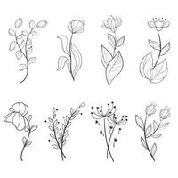 set of botanical leaf doodle wildflower Botanical line art drawings collection vector