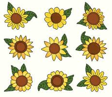 Sunflowers set. Cartoon style. White background, isolate. vector