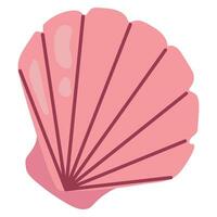 Cute hand-drawn shell. White background, isolate. vector