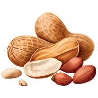 peanut ingredient ai generative png