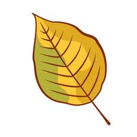 A fallen autumn leaf. The concept of autumn. Vector cartoon illustration