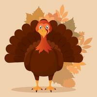 Background turkey animal autumn vector illustration