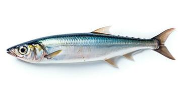 A fresh mackerel fish isolated on white background. Atlantic mackerel fish. Generative Ai photo